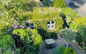 Camden Town Garden Cabin